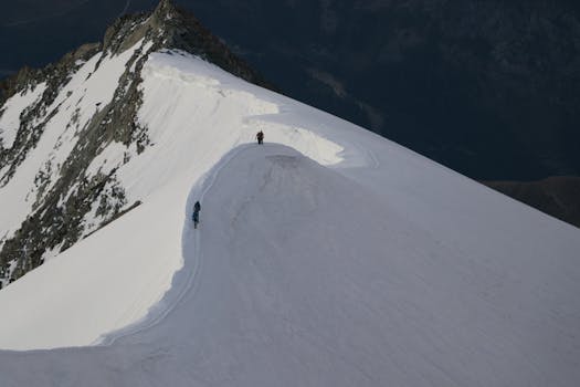 mountain climbers reaching a peak