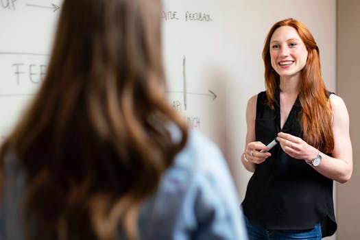 image of a consultant presenting a change management framework